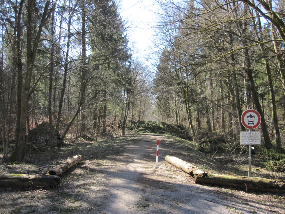 2015-04-09 02a blockierte Wege im Forst.jpg