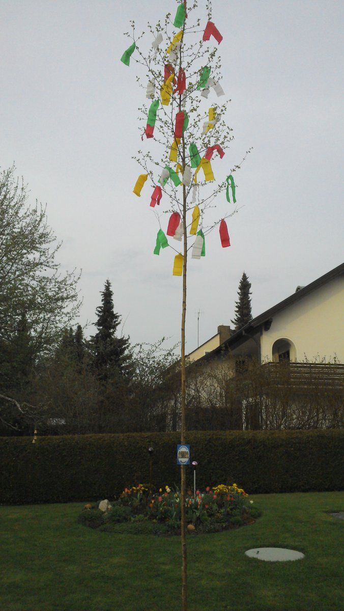 2015-05-02 19.13.44.jpg