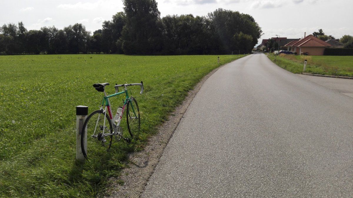 2015-09-20 11.45.24.jpg
