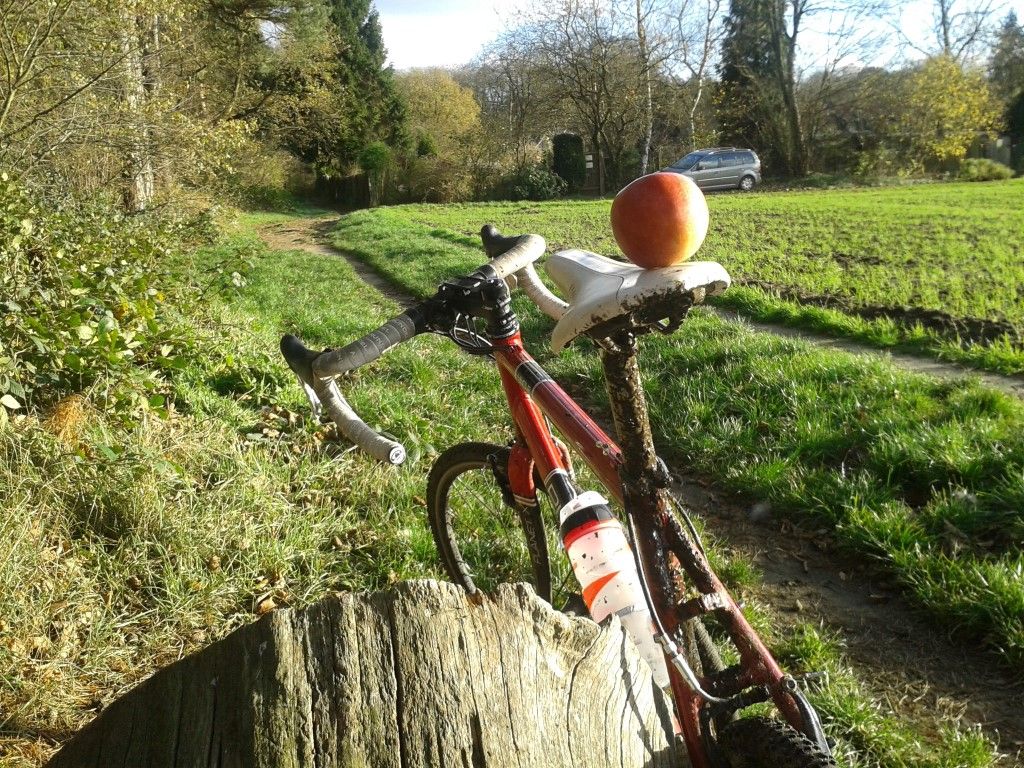 2015-11-21 14.22.49 (Medium).jpg