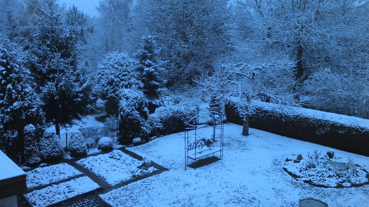 2015-11-22 07.36.49.jpg