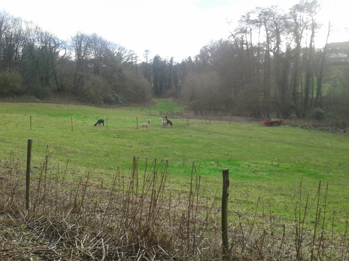 2015-12-21 14.20.14.jpg