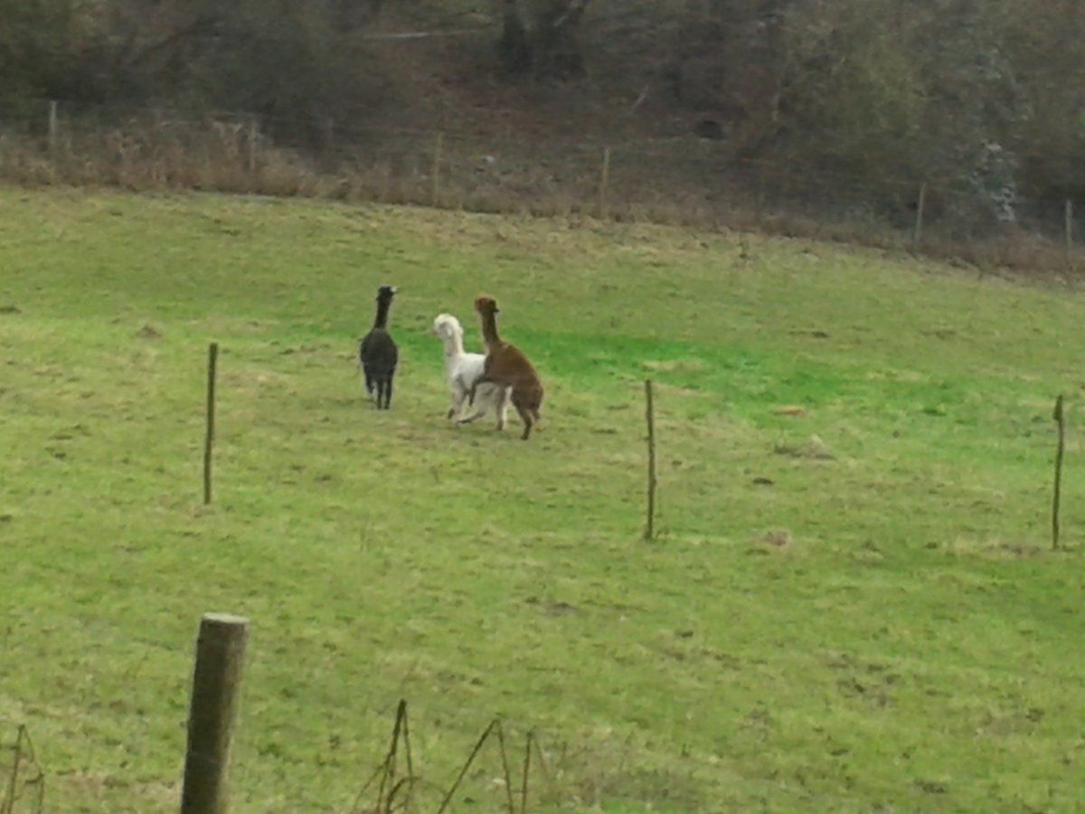 2015-12-21 14.20.20.jpg