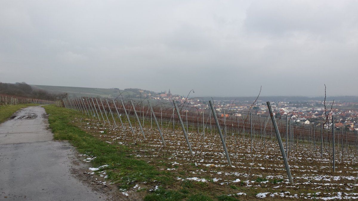 20150120_121753.jpg