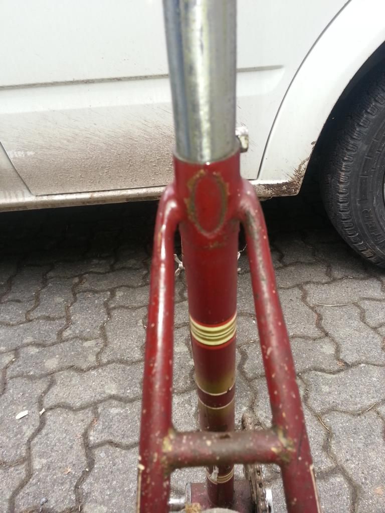 20150222_120829.JPG