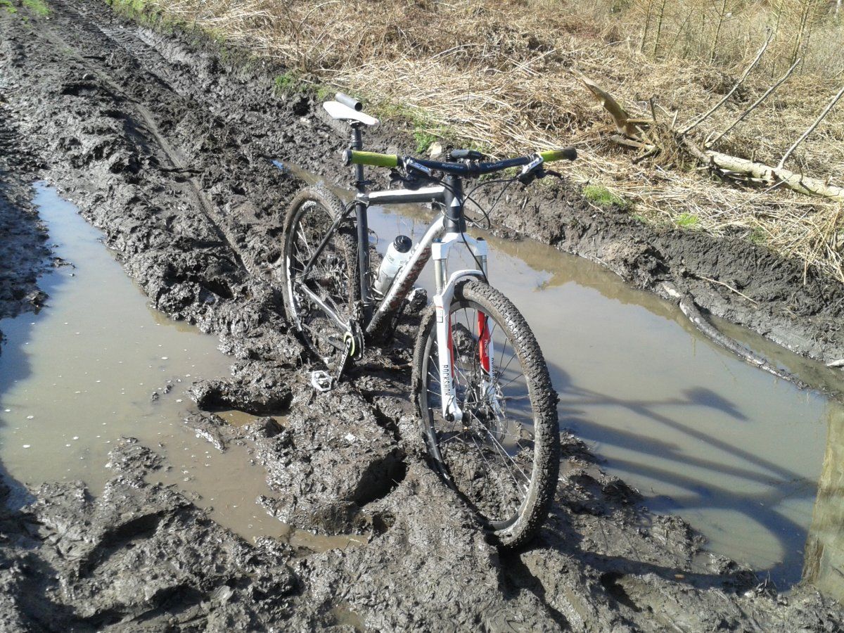 20150322_103841.jpg