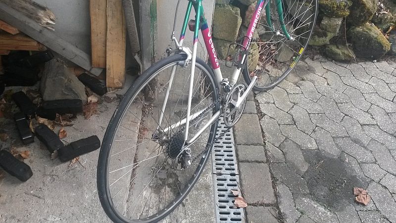 20150428_083152.jpg