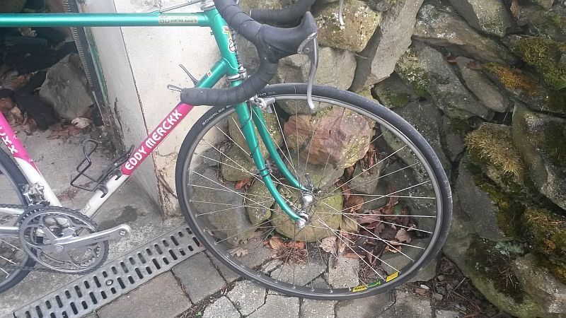 20150428_083158.jpg
