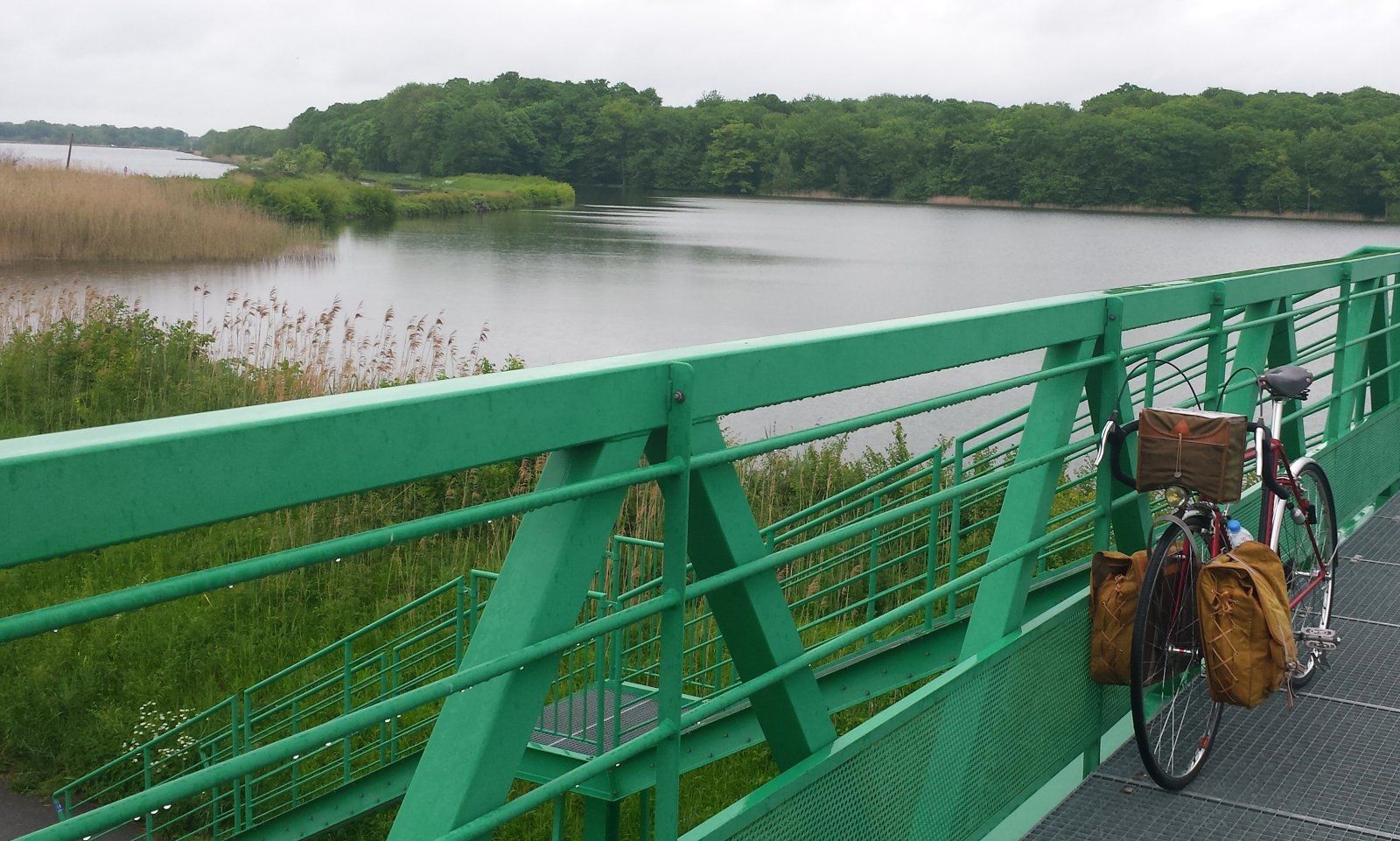 20150515_105854.jpg