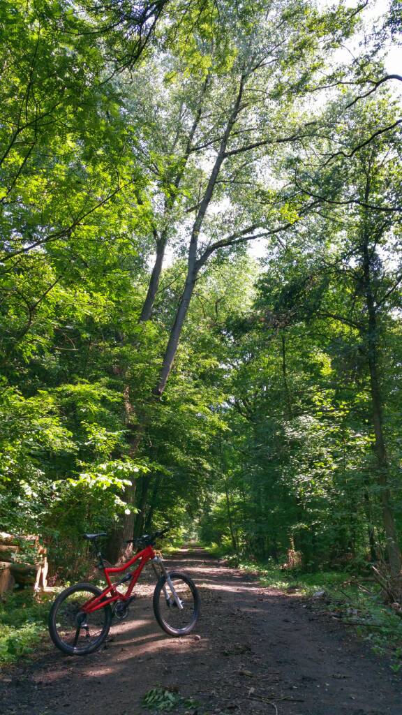 20150717_123439-01.jpeg