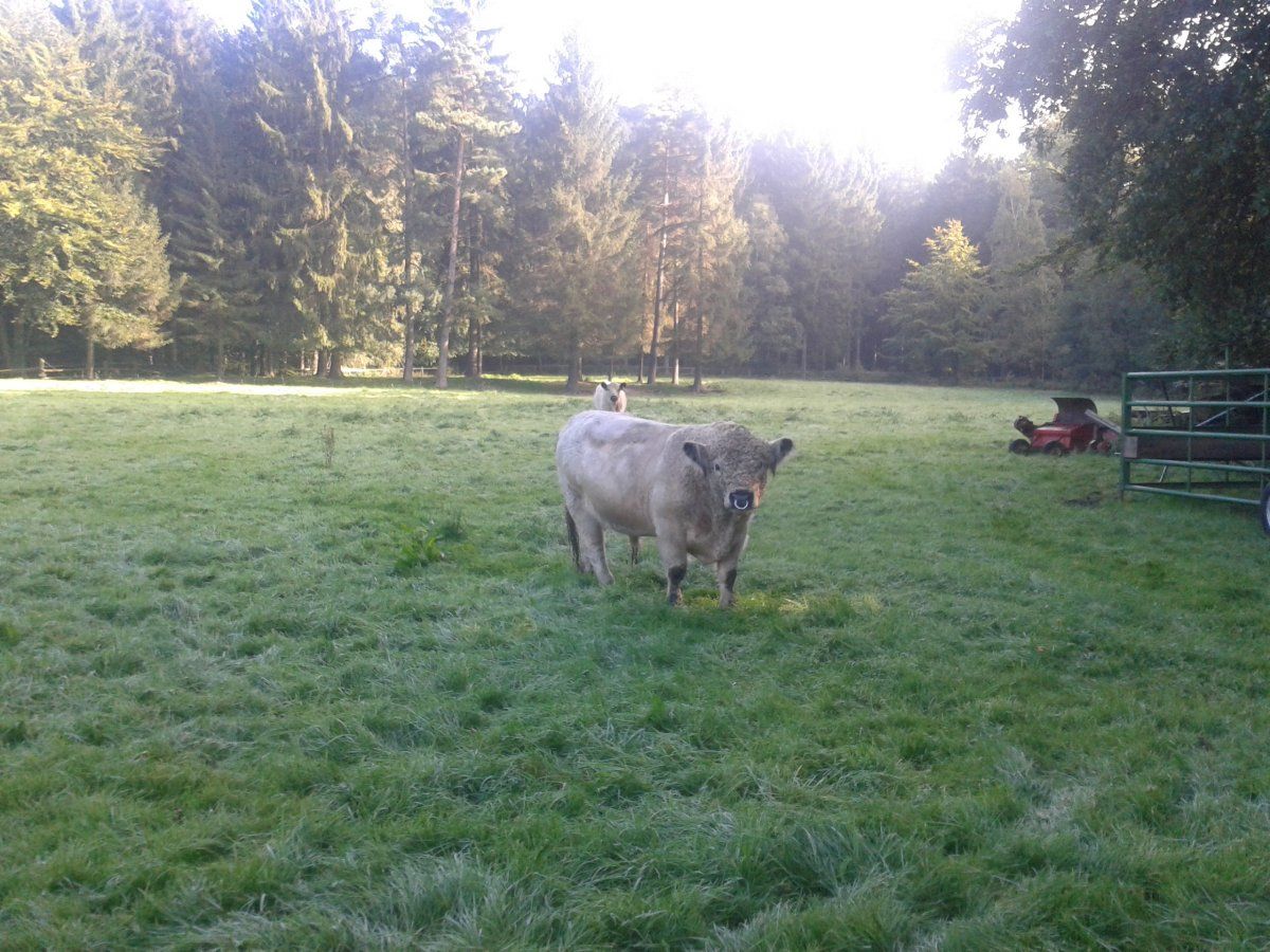 20150929_095636.jpg