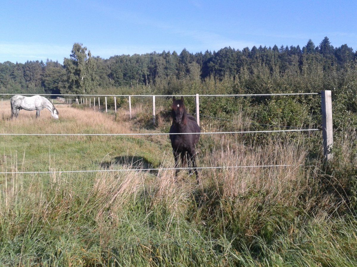 20150929_102147.jpg