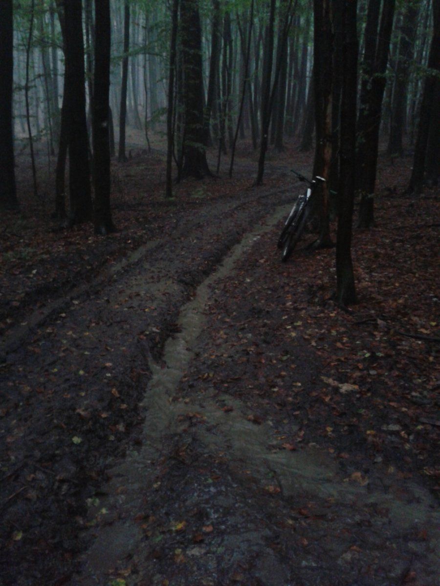 20151015_130911.jpg