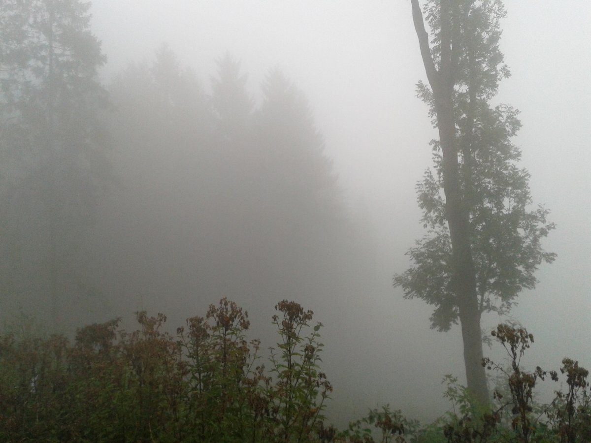 20151015_143939.jpg
