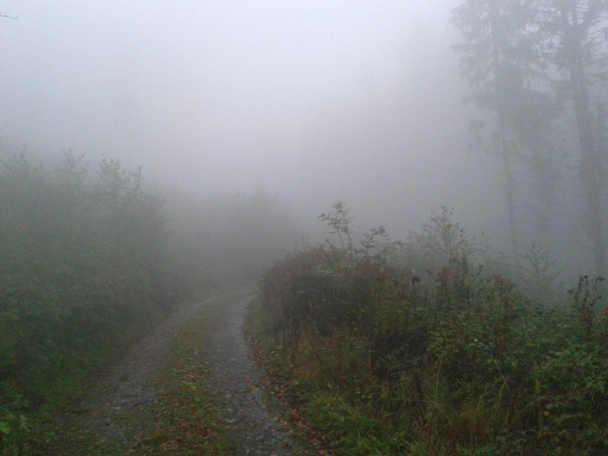 20151015_143942.jpg