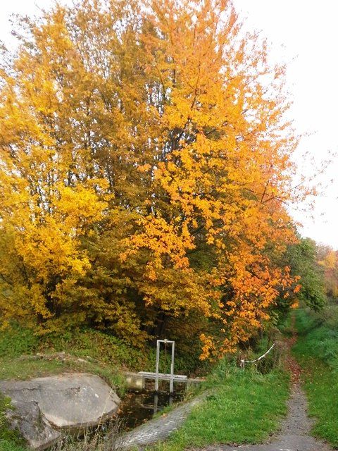 20151024_161725.jpg