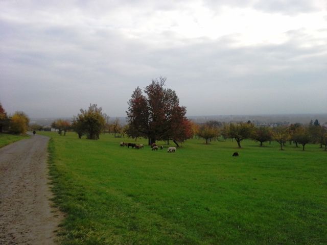 20151025_145536.jpg