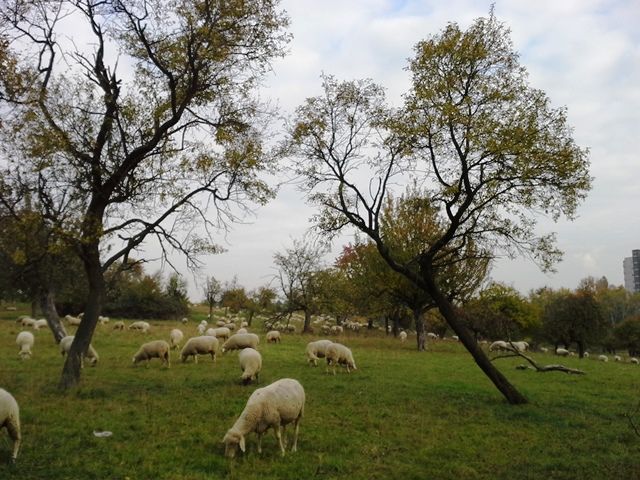 20151025_150358.jpg