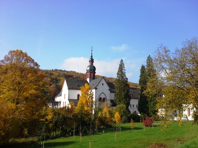 20151026_115354.jpg