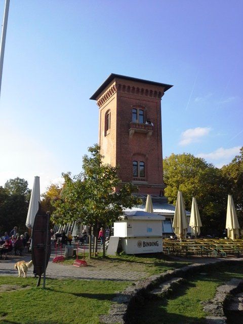 20151026_142237.jpg