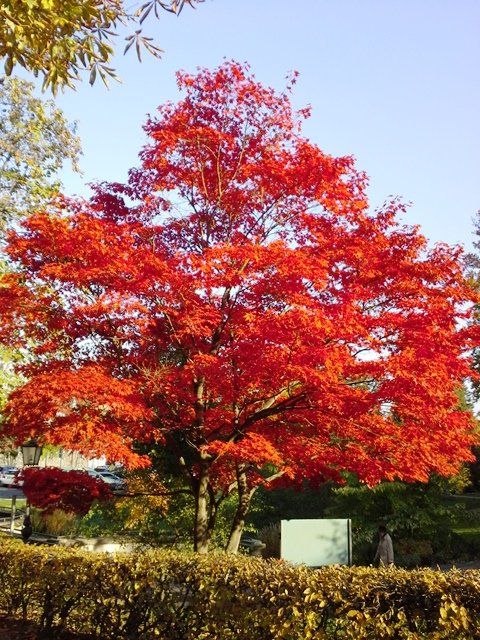 20151026_145117.jpg