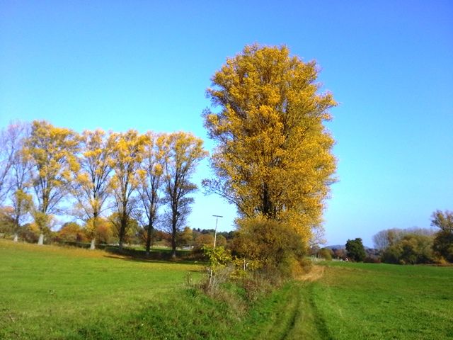 20151027_141135.jpg