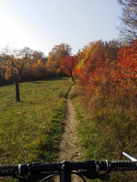20151027_142359.jpg