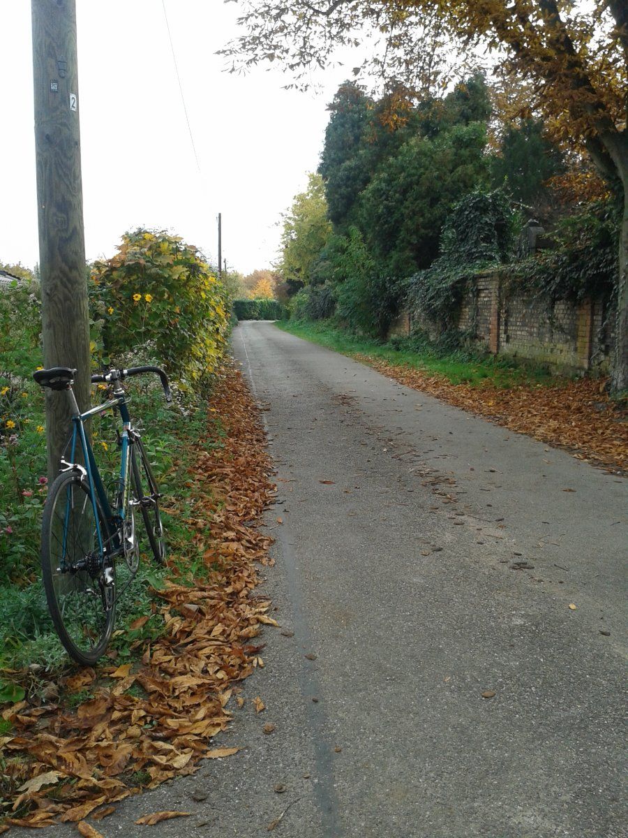 20151029_093644.jpg