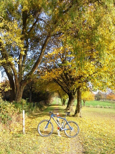 20151031_141822.jpg