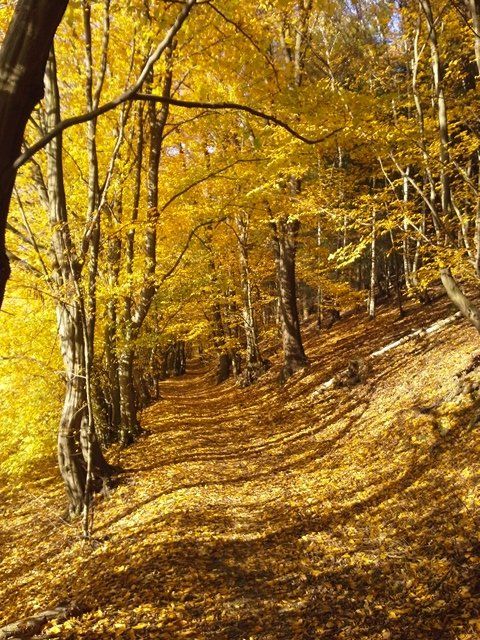20151101_133315.jpg