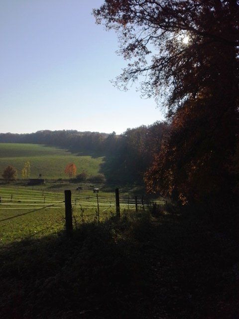20151101_140814.jpg
