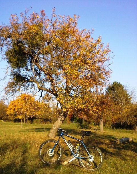 20151101_153433.jpg