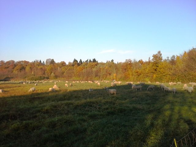 20151101_154023.jpg