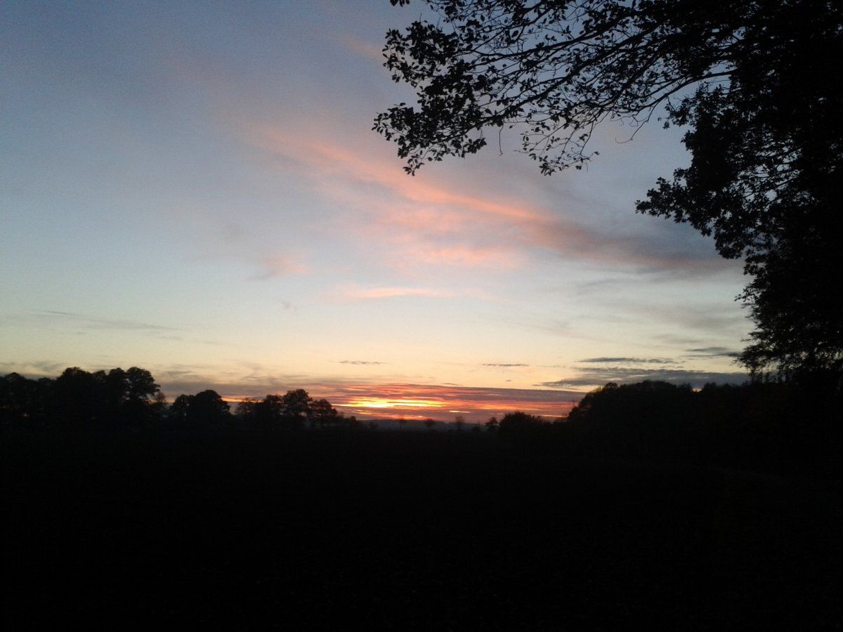 20151103_170352.jpg