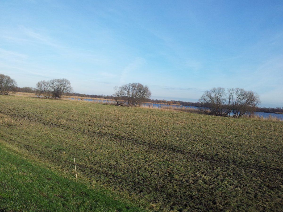 20151203_120703.jpg