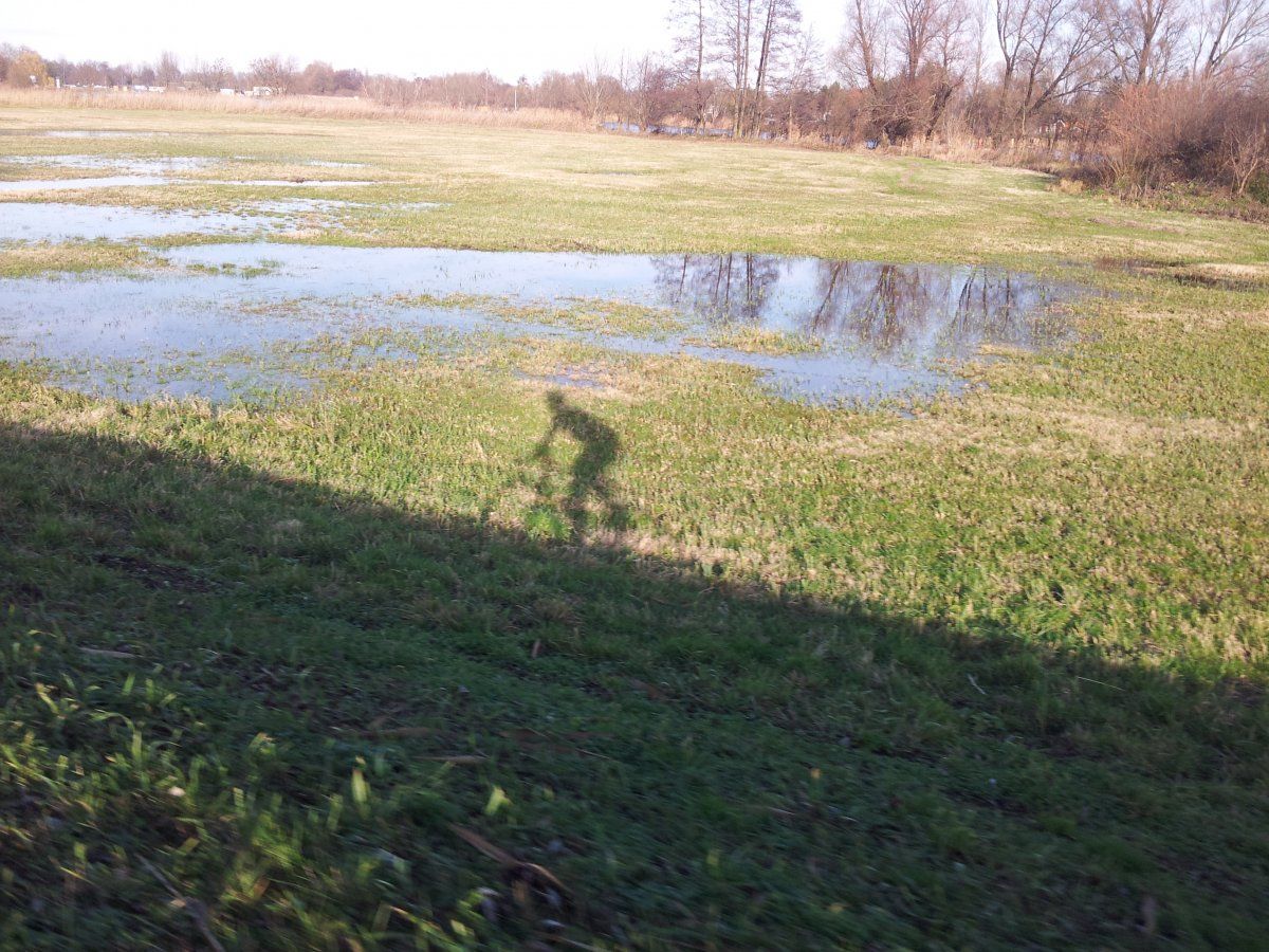 20151203_121102.jpg