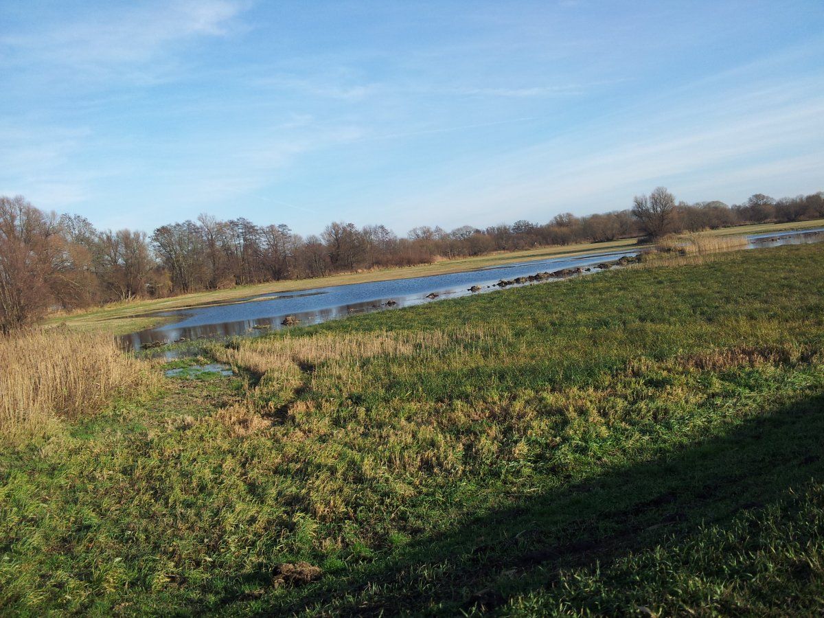 20151203_124730.jpg