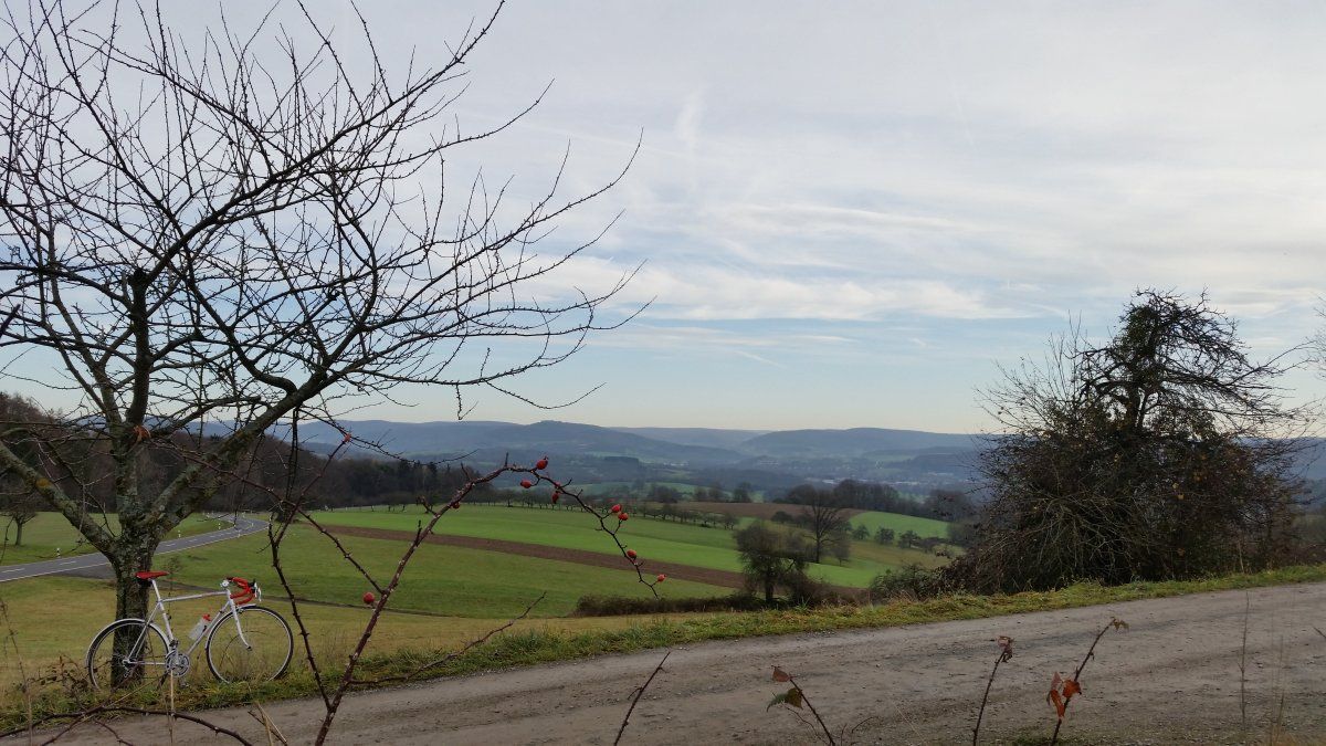 20151220_132135.jpg