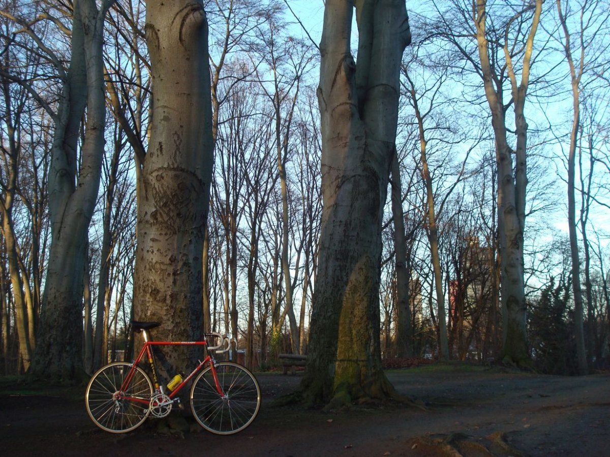 2015LastRide1.jpg