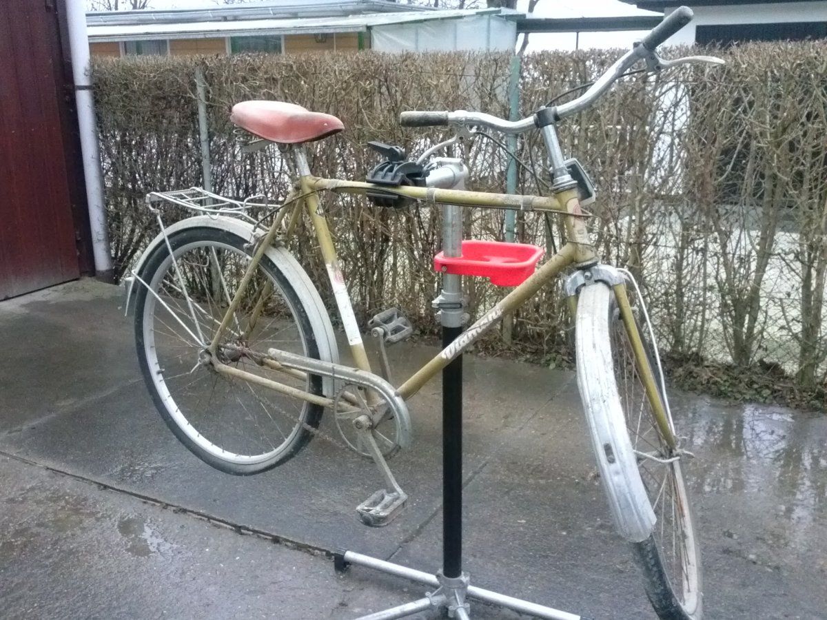 2016-02-20 10.55.25.jpg