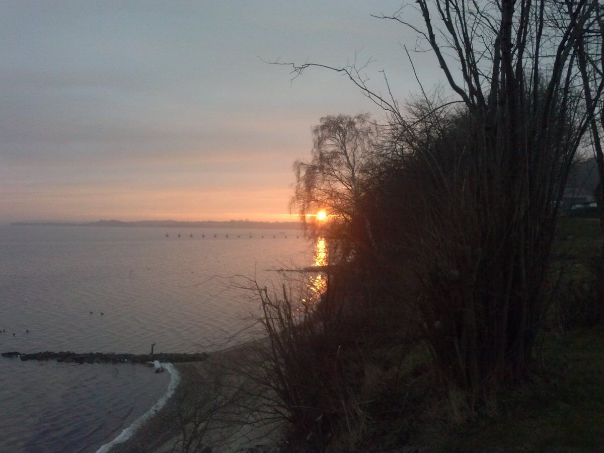 2016-03-15 06.32.47.jpg