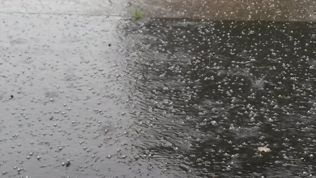 2016-06-15 16.43.06.jpg