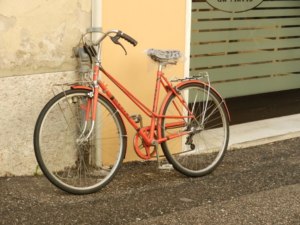 2016-08-10 11.36.18.jpg