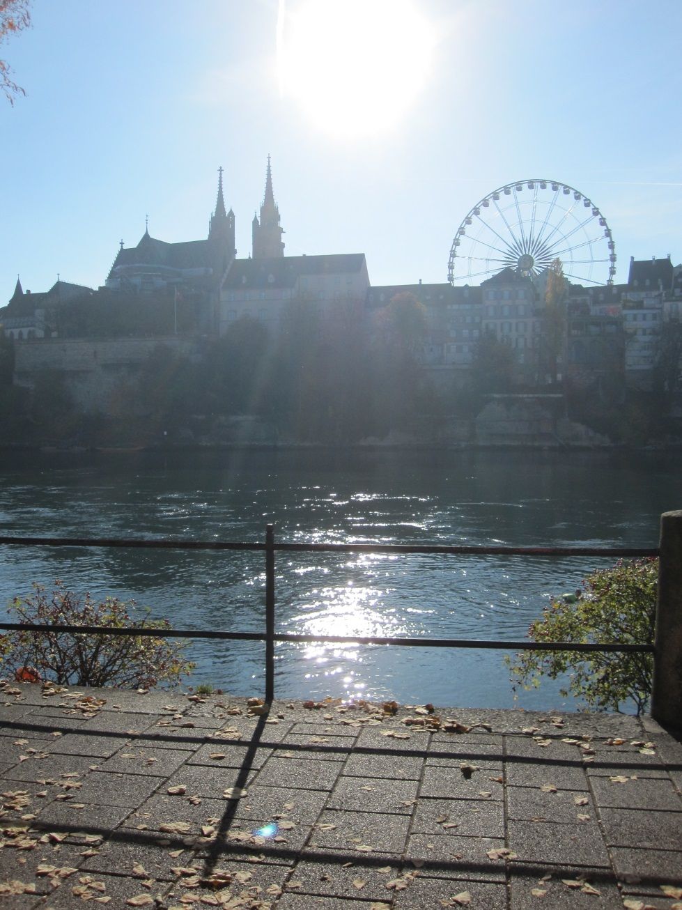 2016-11-01 32a Basel Münsterfähre.jpg