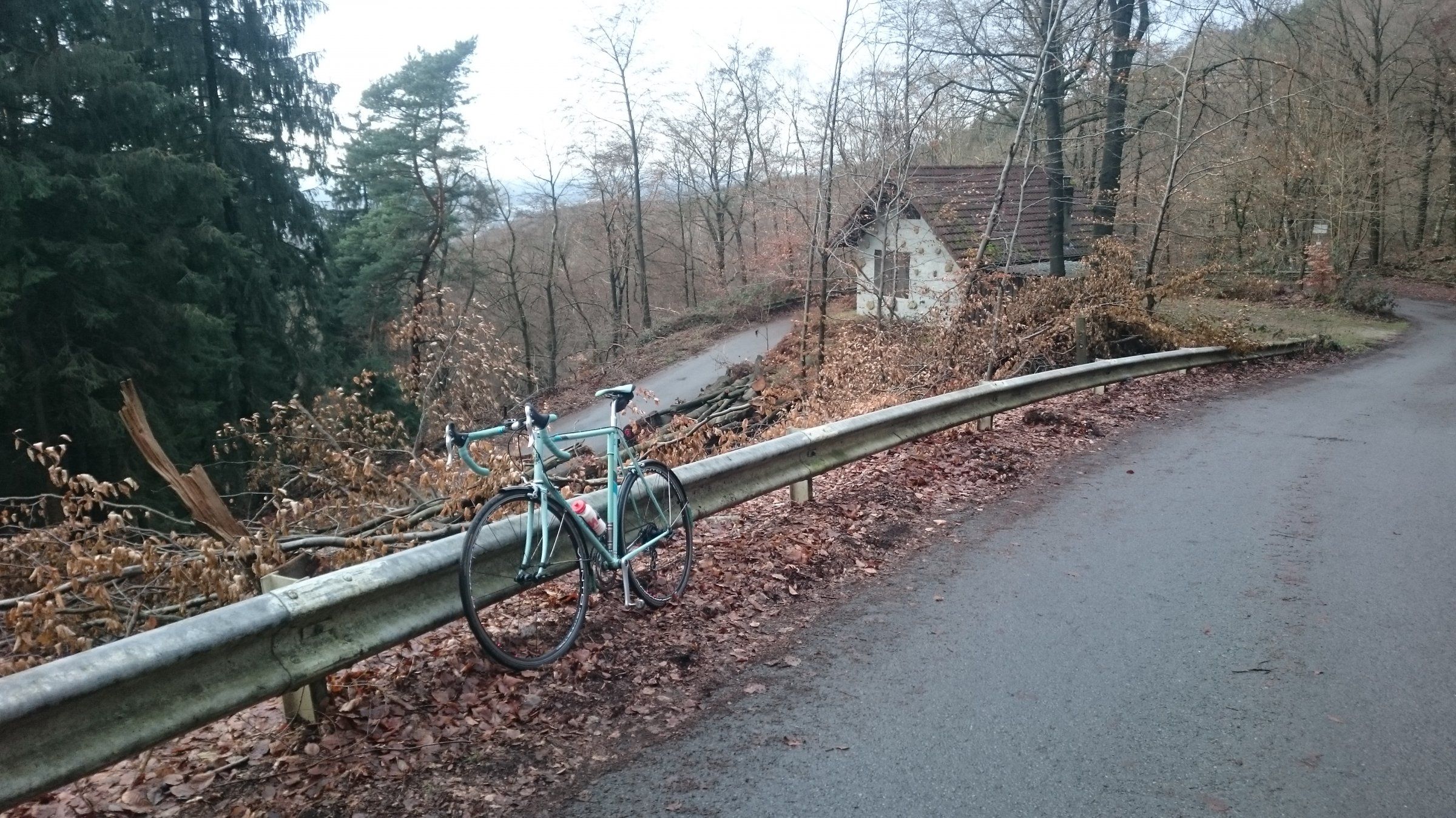 2016-12-23 14.33.31.jpg