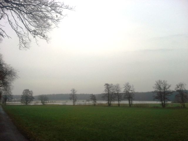 20160124_153315.jpg