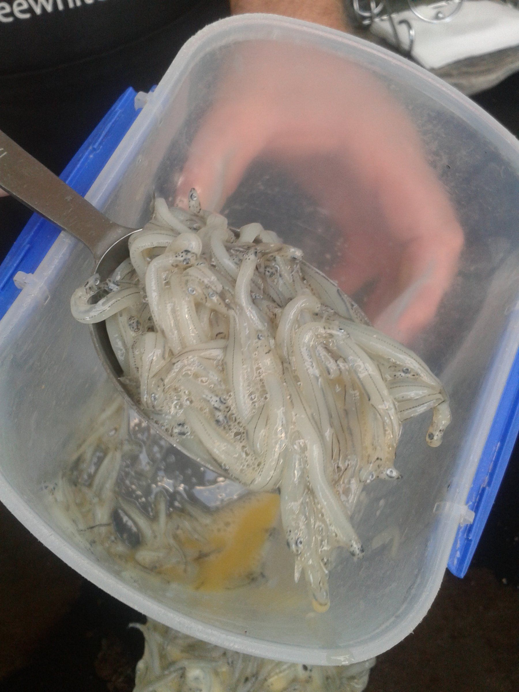20160229_132044.jpg