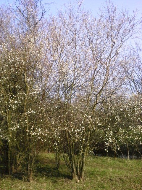 20160301_132451.jpg