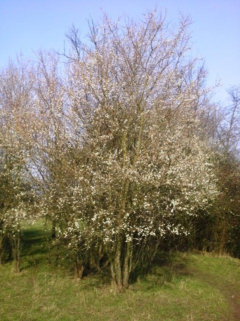20160301_132531.jpg