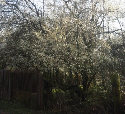 20160301_132843.jpg